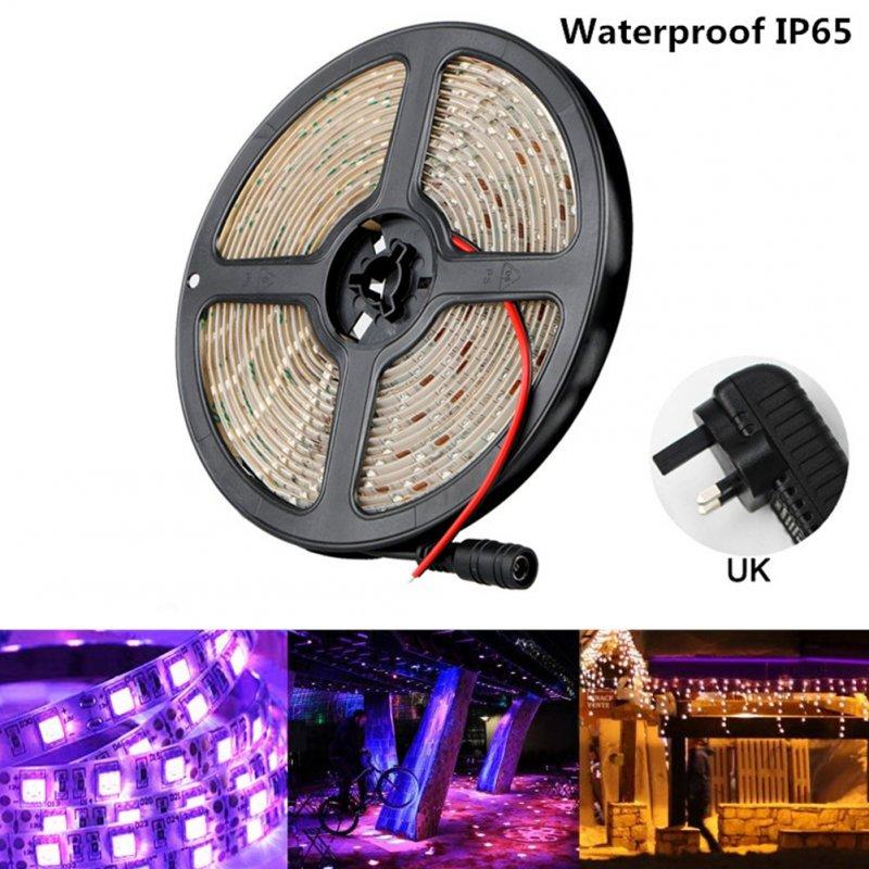 Personal Health Protection |  300LEDs 12V 5M UV Strip Light for Banknote Inspection Sterilization 390-400nm British Regulation Health Care Epoxy waterproof