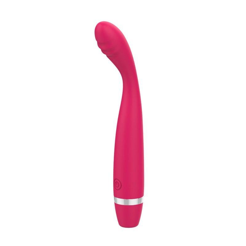 Vibrators |  2PCS Vibrator G Spot Vibrator Clitoral Anal Massager Nipple Vibrator Pleasure Stimulator Sex Toy For Adult Couples Women rose Red Adult Items Rose red