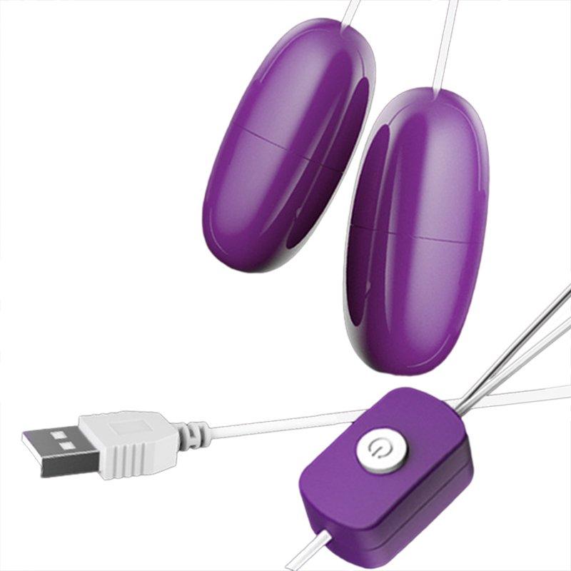 Vibrators |  Double Vibrator G Spot Vibrator USB Charging Clitoral Massager Nipple Vibrator Pleasure Stimulator Sex Toy For Adult Couples Women Purple Adult Items Purple